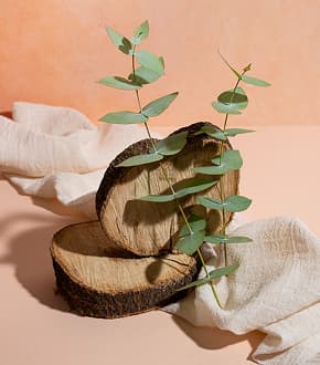Sustainable Materials in Modern Furniture