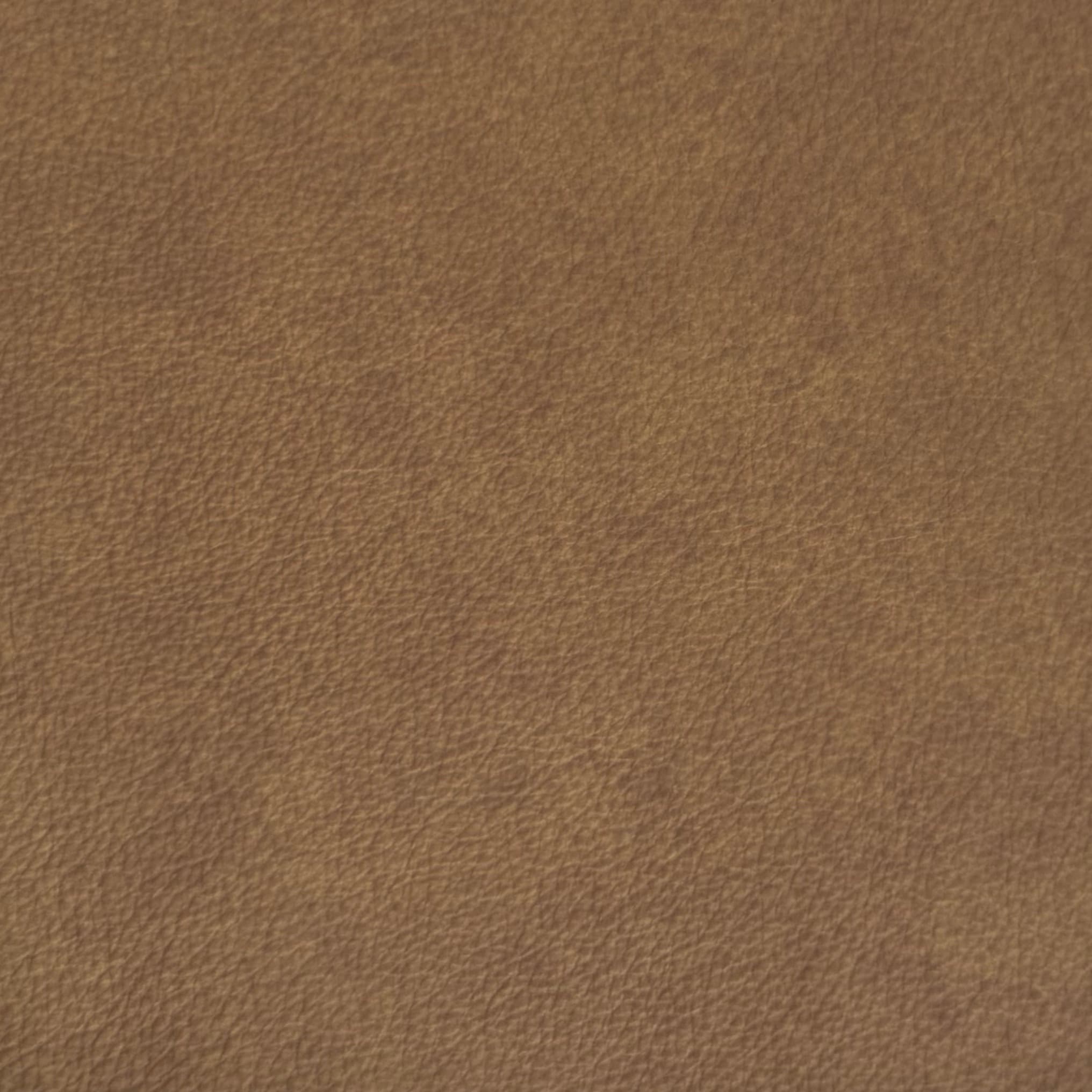 Courier Tan