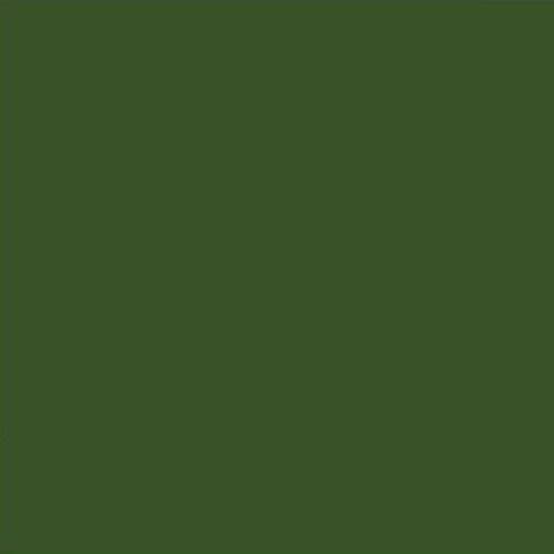 Forest Elf Green Paint