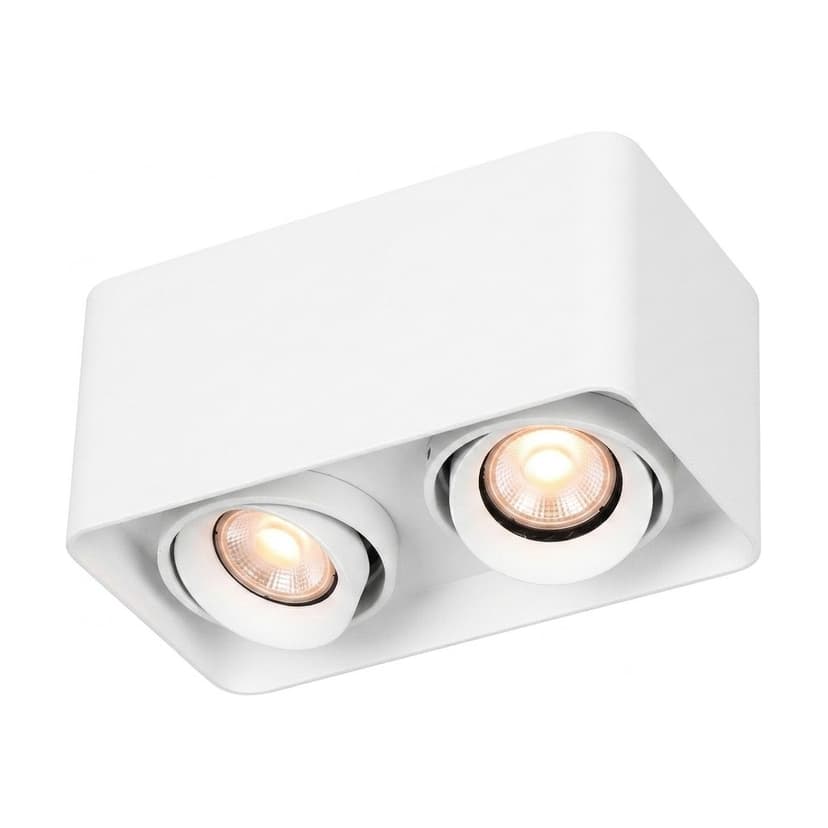 Strom Dual Ceiling Lamp