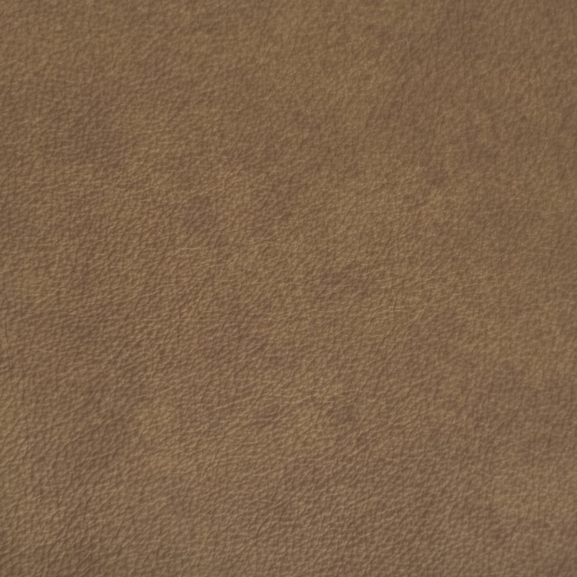 Courier Tan